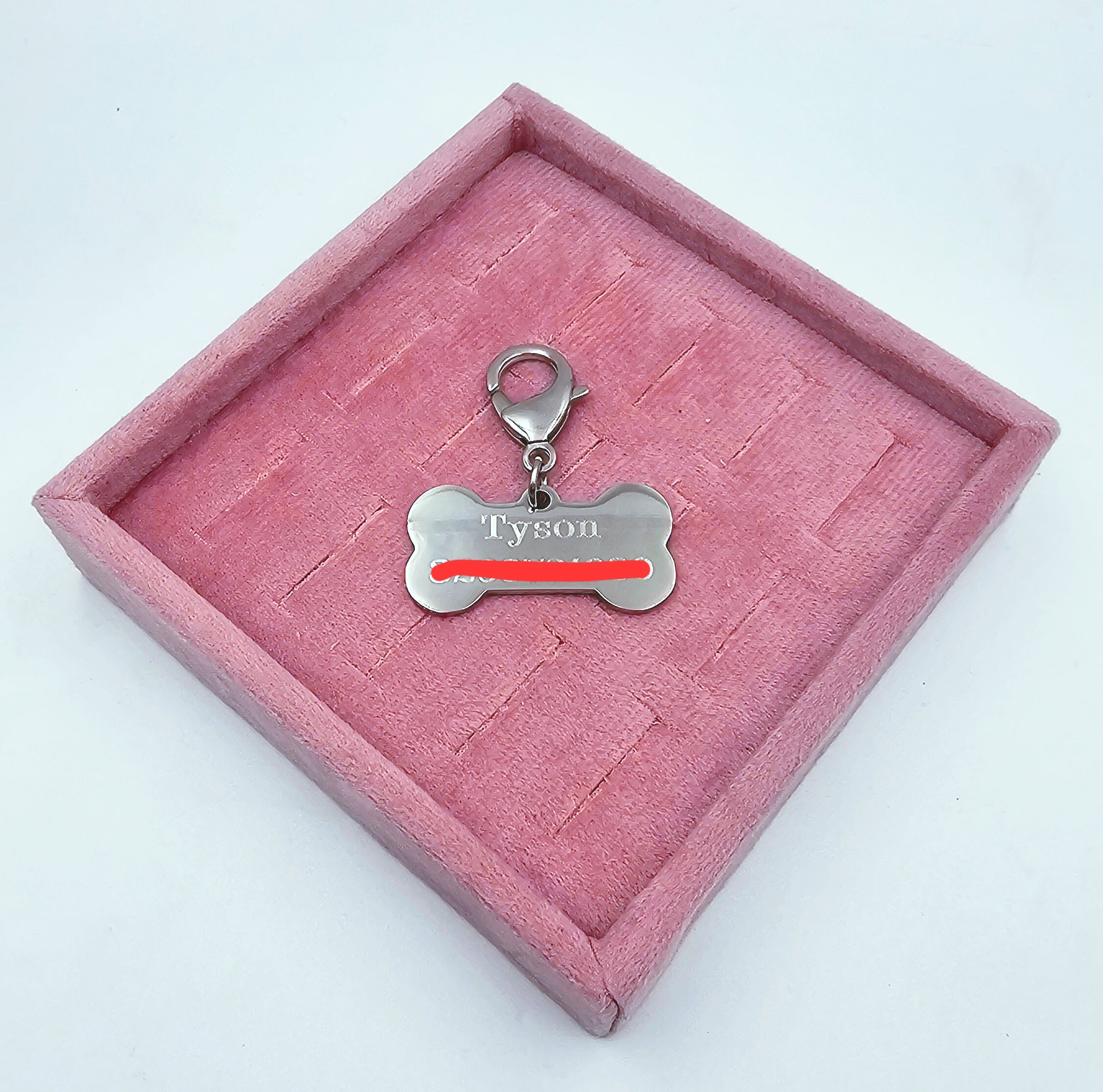 Medaglia identificativa per Cane