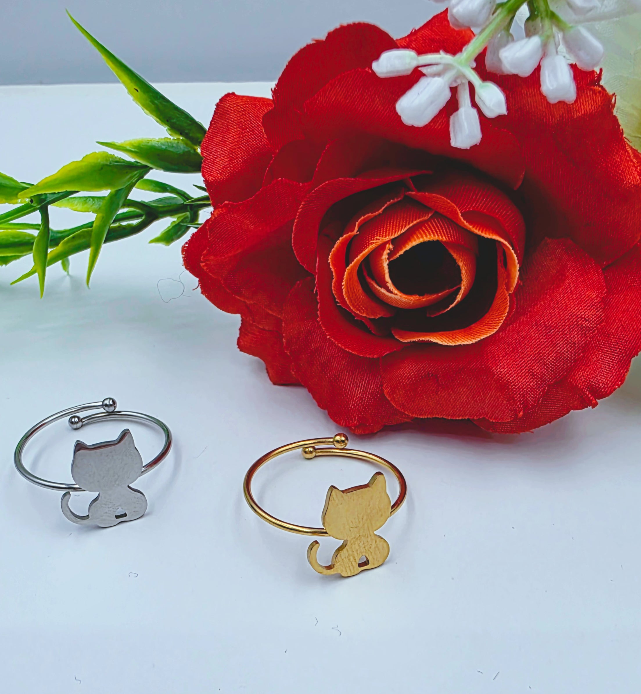 Anello Gattino