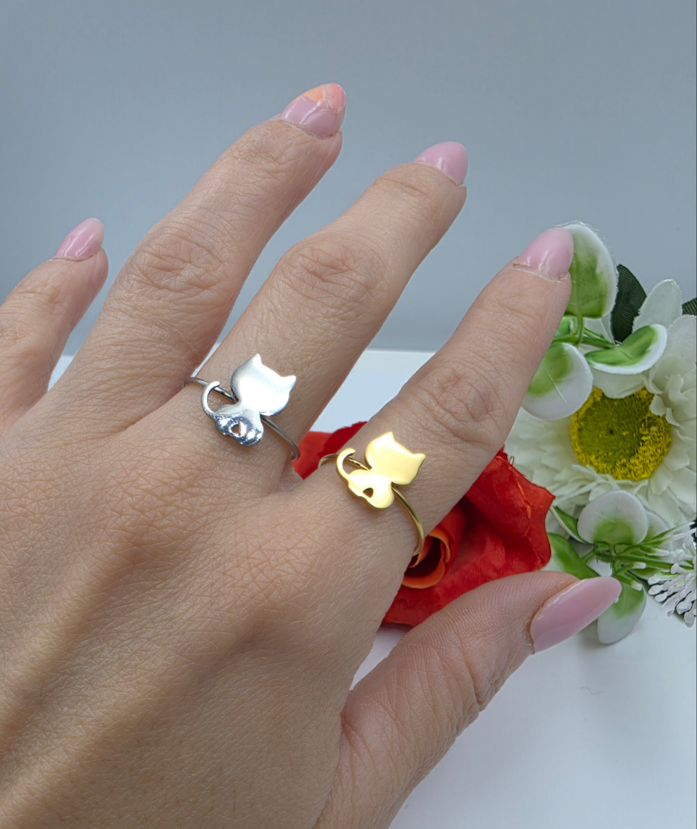 Anello Gattino